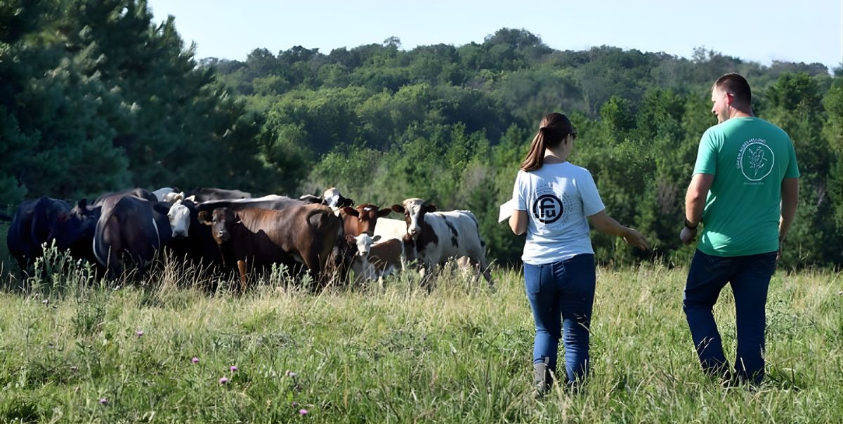 Two Farmers wearing Minnesota Farmers Union T Shirts walk toward cows in a field.